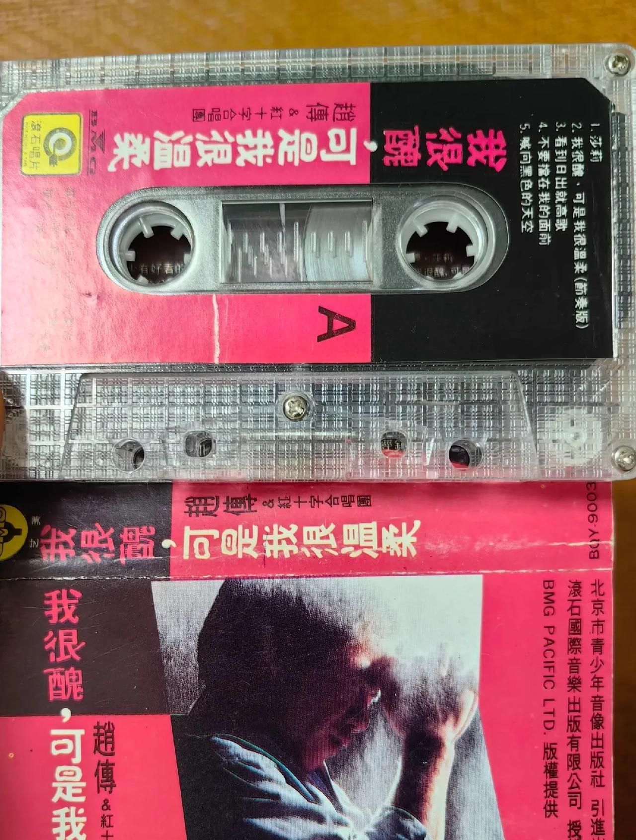 赵传，除了长得磕碜点儿，歌唱得一点儿毛病都没有[捂脸]
赵传的特点，要唱功有唱功