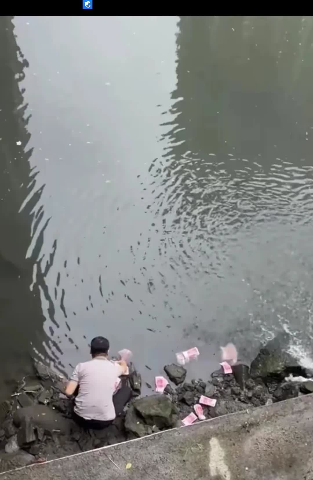 6月12日，网友发视频显示，深圳一桥下河道里散落着好多钱，一个男子拿塑料袋把钱捡