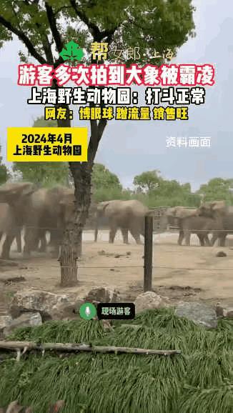亚洲象与非洲象不能混养。