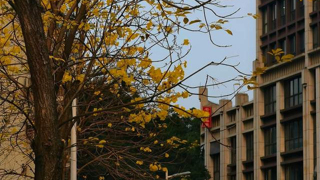 损益之道：真正的智慧在于洞悉对立面的统一与转化