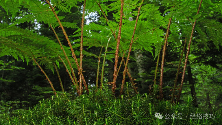 《黄帝内经》：怕冷不是缺衣服，或是身体在提示，很多人没做对