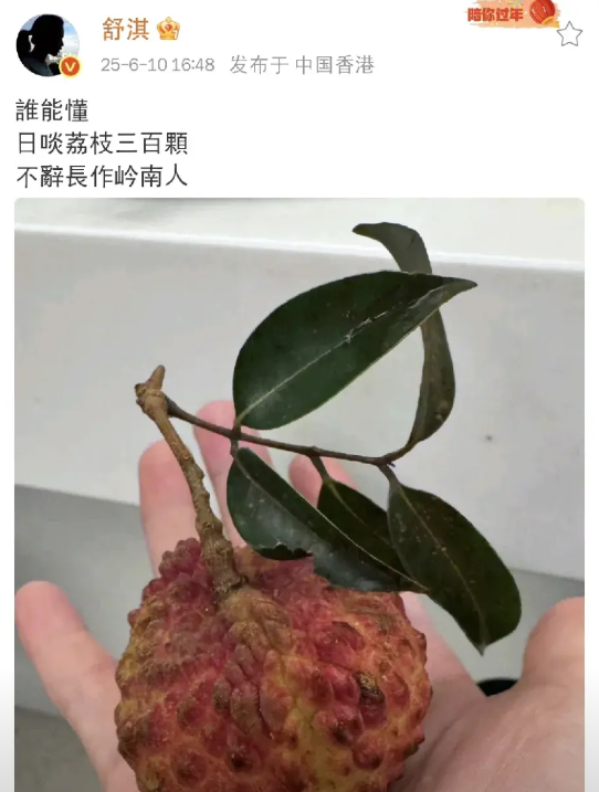 舒淇，太满足了！

今天下午，舒淇在社交平台晒图发文，配文苏轼名句