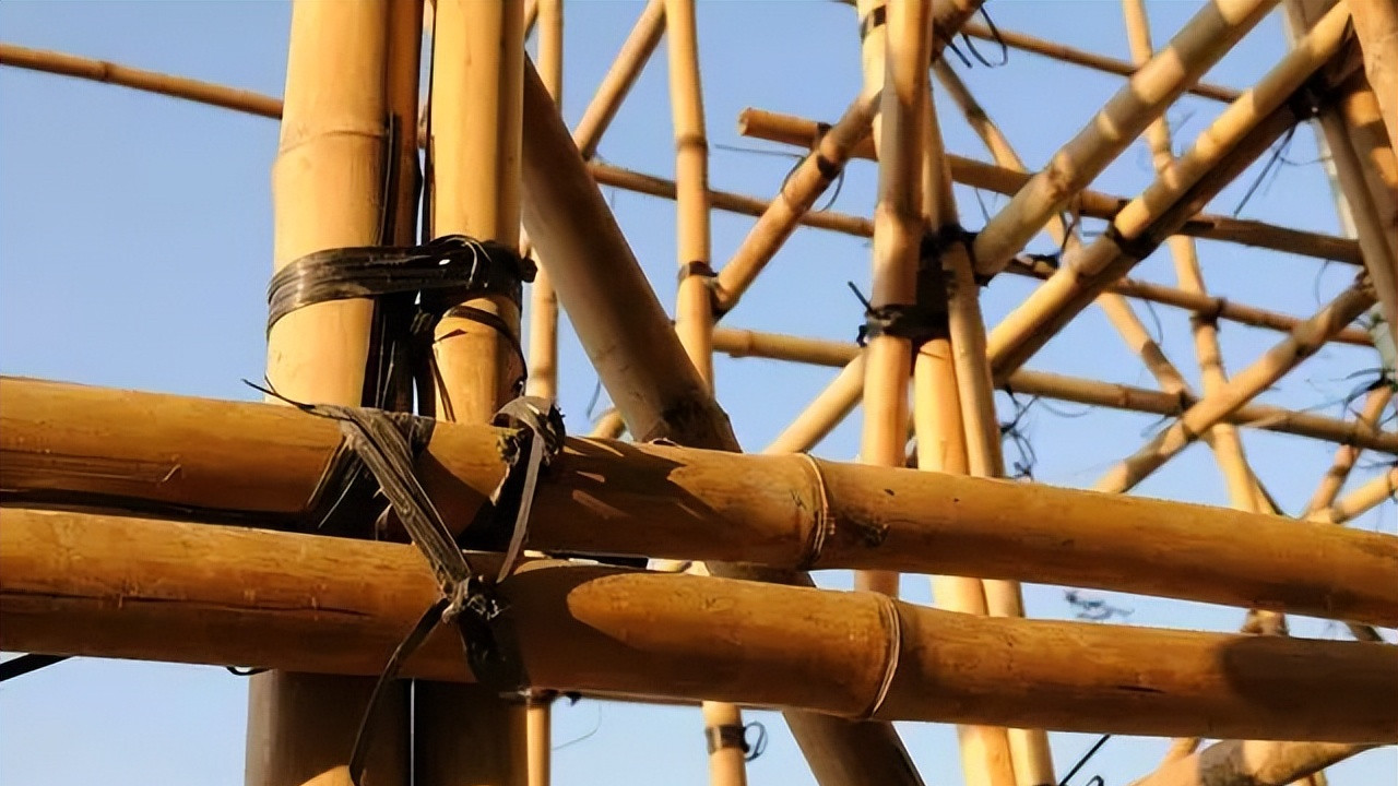 大埔火灾背后，是香港拧巴的文化底色