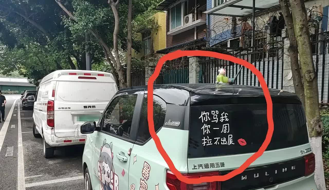 见过骂人的，没见过这么骂人的，哈哈，这车主实在是太可爱了。