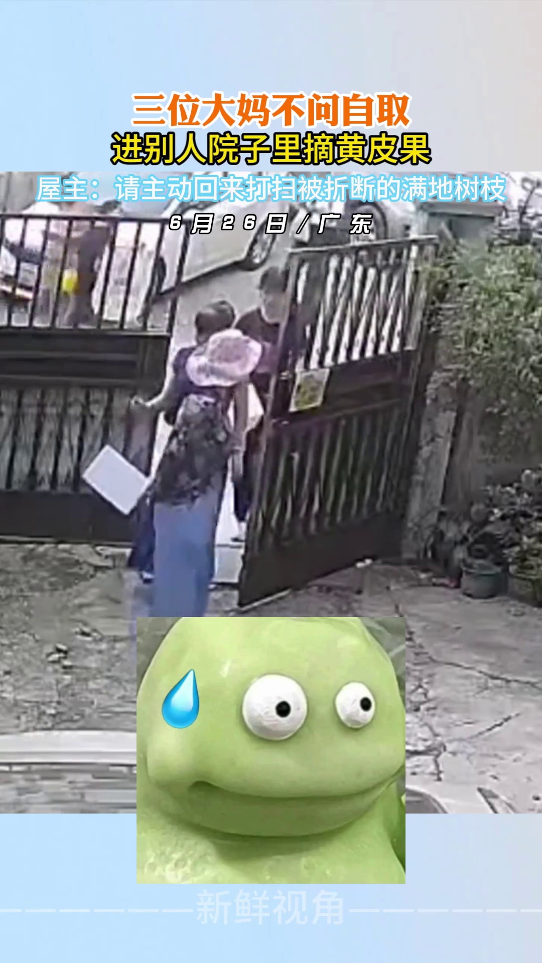 三位大妈不问自取 进别人院子里摘黄皮果