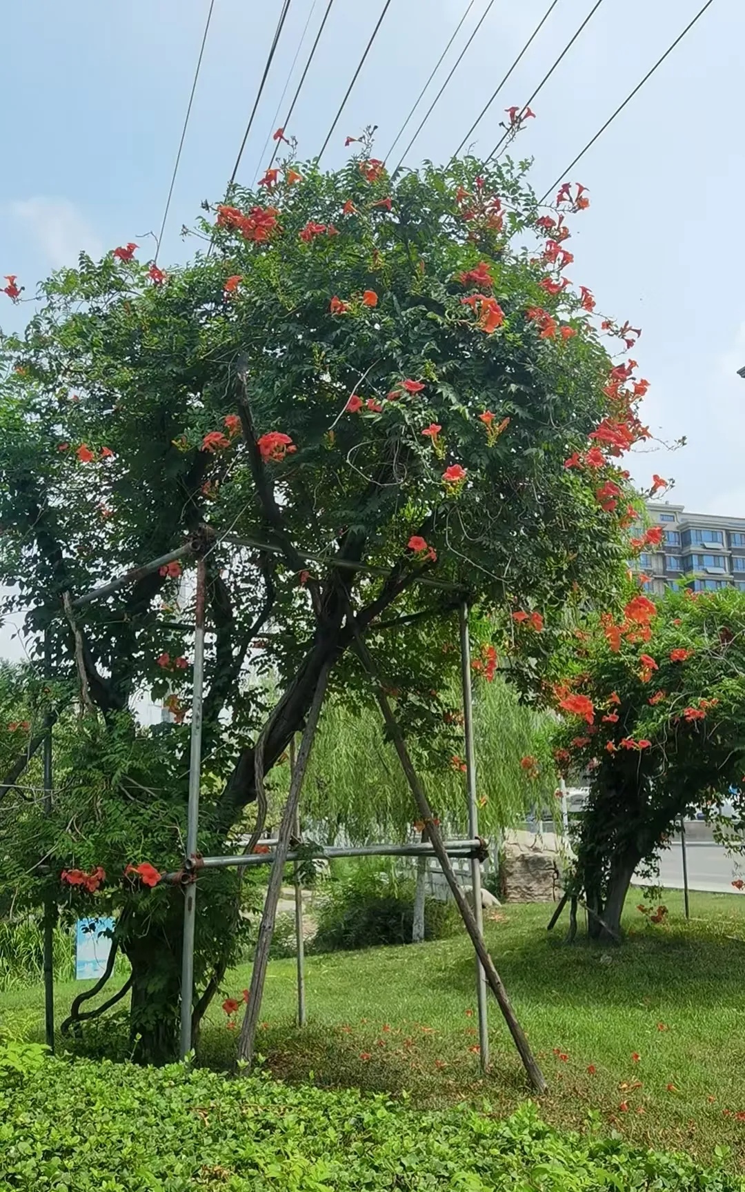 俄乌战争的性质是什么？



开始是为了给普京的王座增加一颗宝石，三年过去了，逐