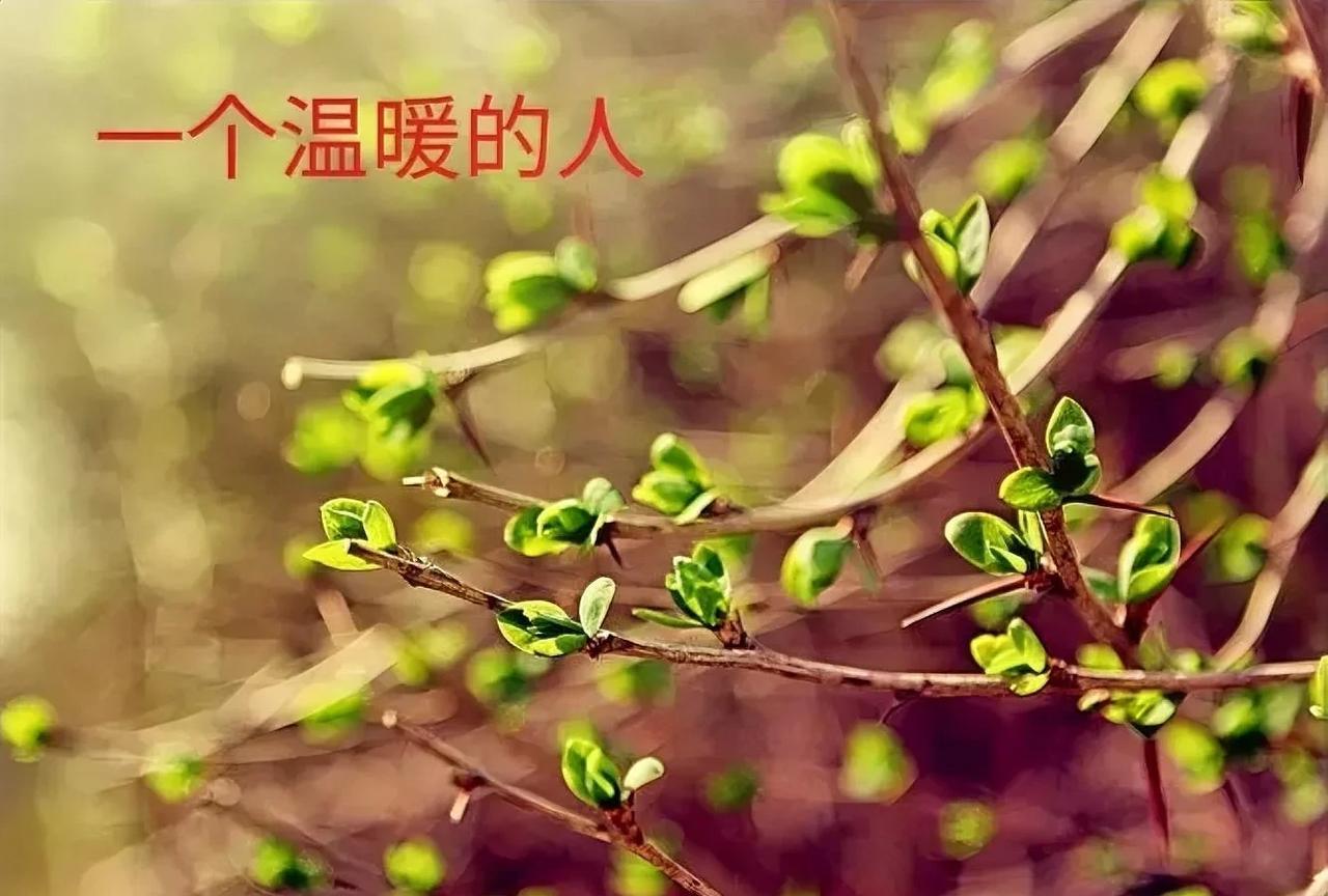 今天讲的第二个故事，是关于上世纪“三线建设”中发生的柴米油盐故事，故事的名字就叫