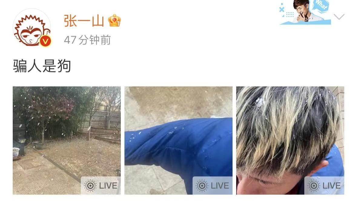 张一山黄发预报北京初雪，一句“骗人是狗”引热议：明星接地气的另类天气预告