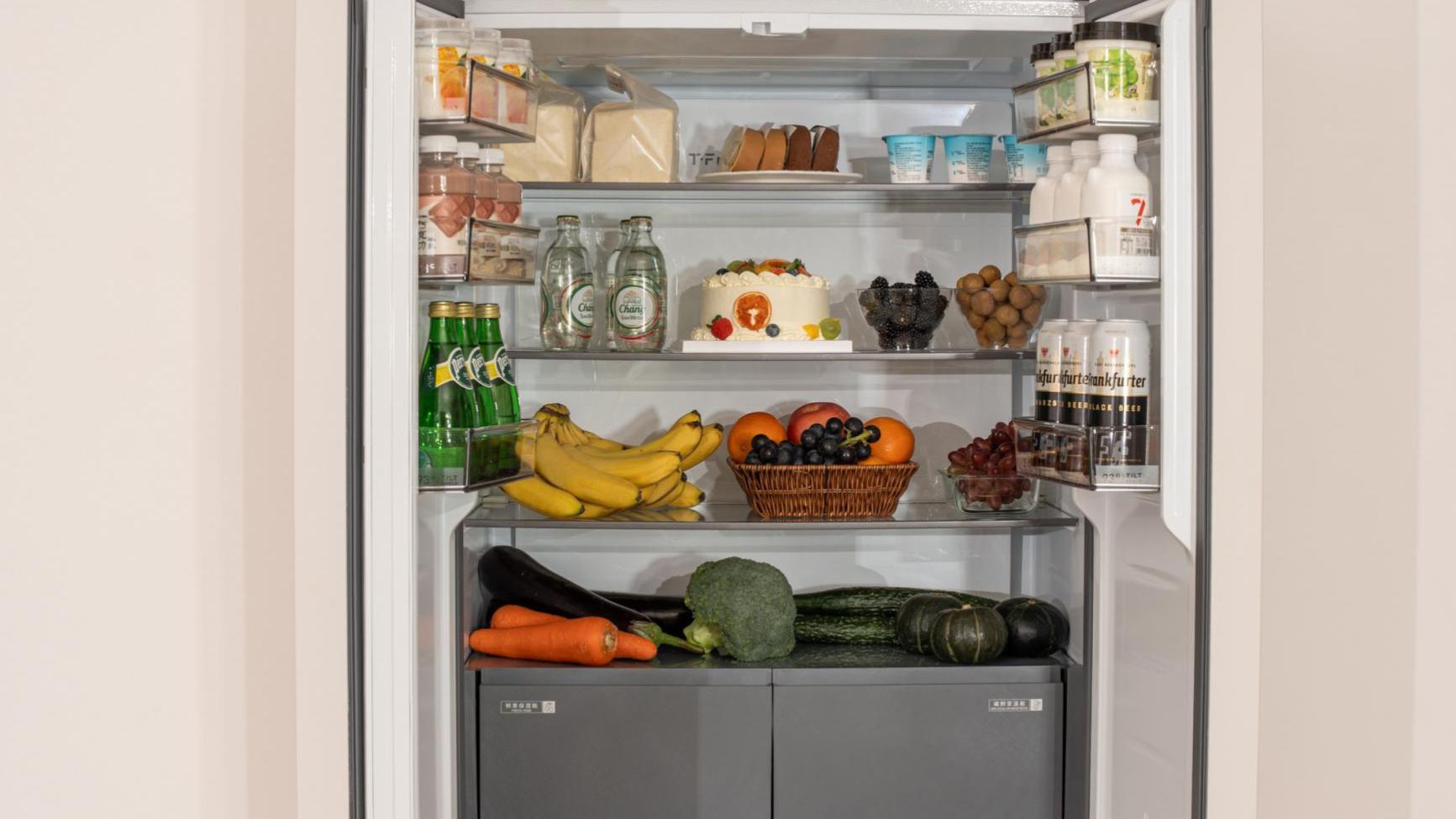 “双磁”不是简单复制：解读TCL行业首款双磁鲜冰箱的颠覆性差异