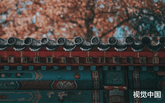 我死后才登上皇后的位置，他们说我才是少年帝王的白月光。