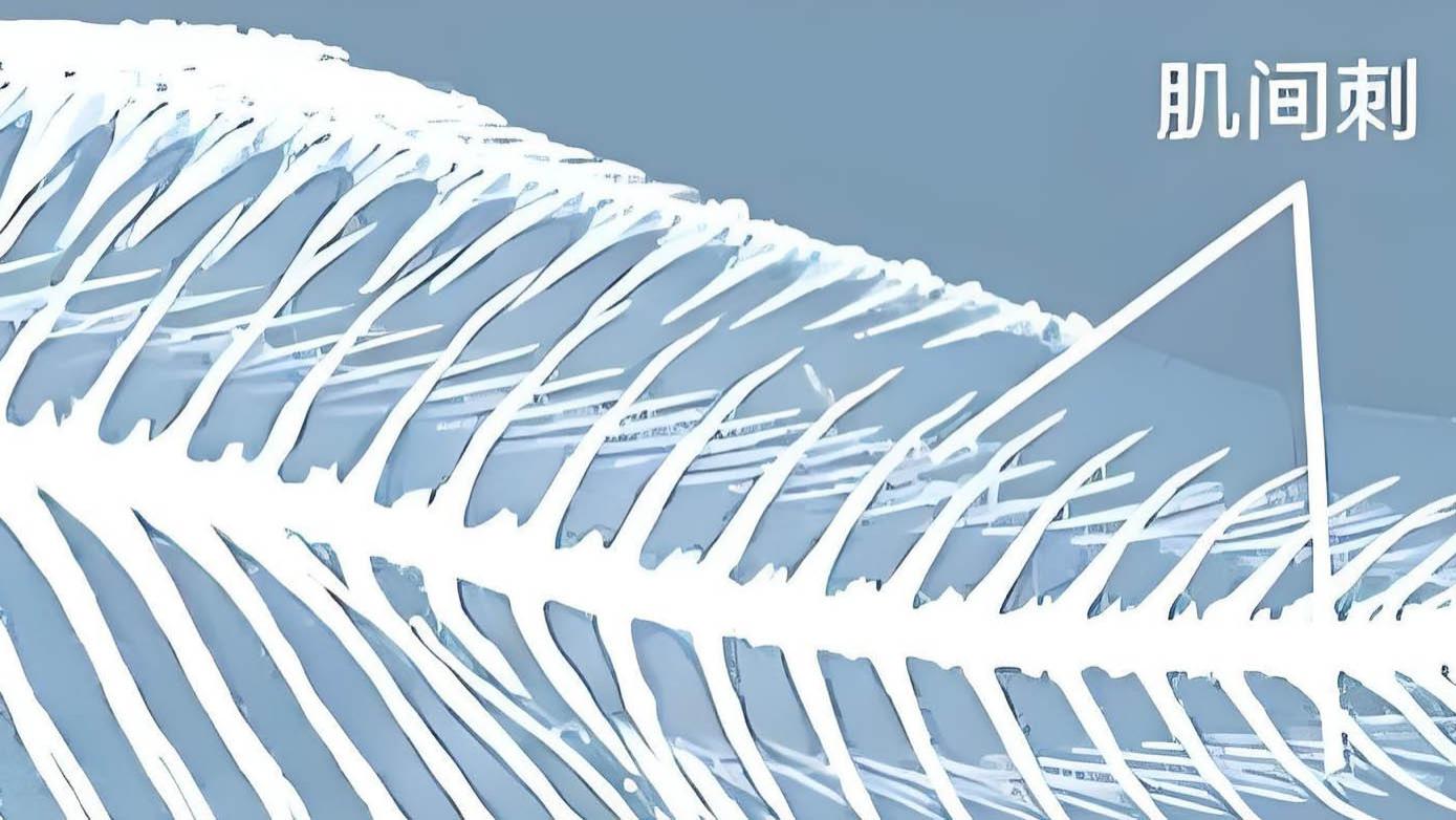 常见的淡水鱼，小刺为什么那么多？不会是为了防止被吃吧？