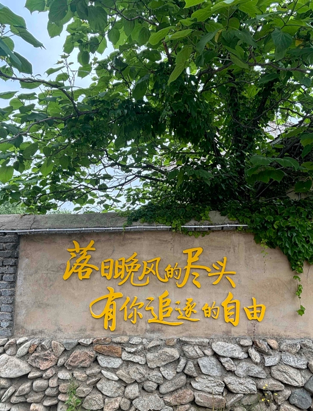 61岁的大姐终于找到活了，干小时工。去一个早餐店刷碗，一小时18块钱，每天上午干