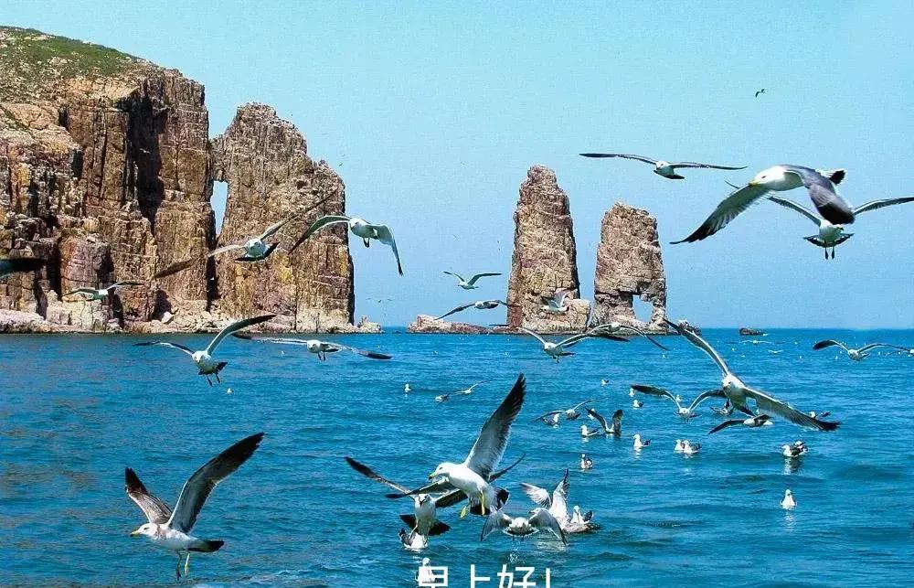 上海有位博学多才的网友打趣地问我，刘半农先生当年当兵在干些什么？我只好如实向老先