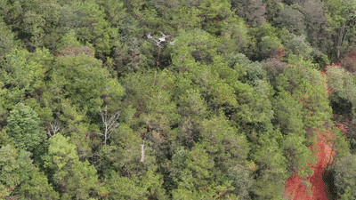 福建山区新农具：无人机吊运破解农林产品出山难题