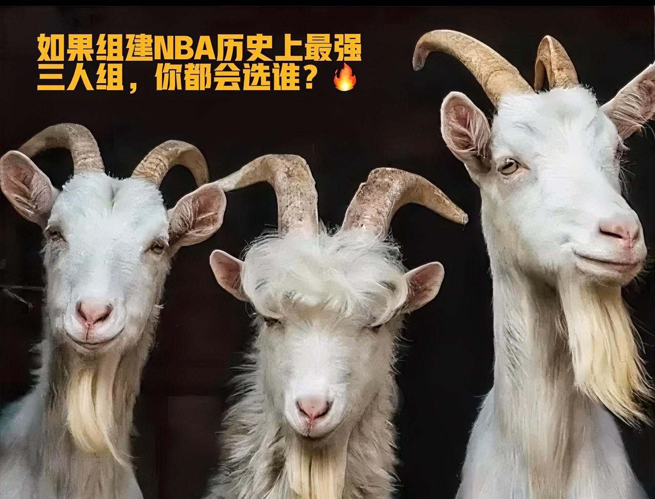 在巨星如云的NBA，组建一支无敌三人组总让人充满想象。我心中的答案是：
詹姆斯、