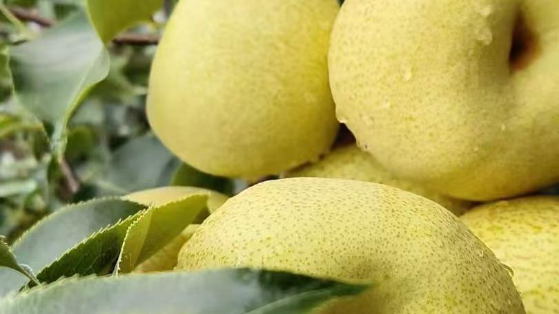 很有人气的24句，经典入心百看不厌！