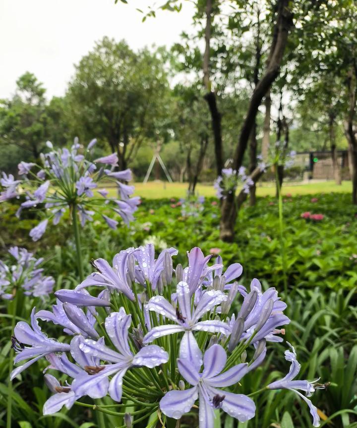 如今，不少家长都变得聪明起来了，开始不逼迫孩子拼命读书了。
一个普通家庭，既没有