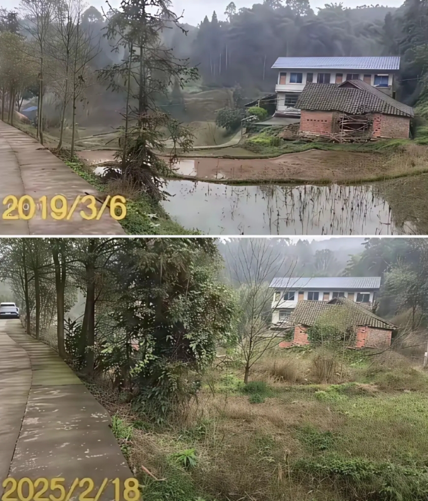 现在的农村怎么家荒废成这样！哎。