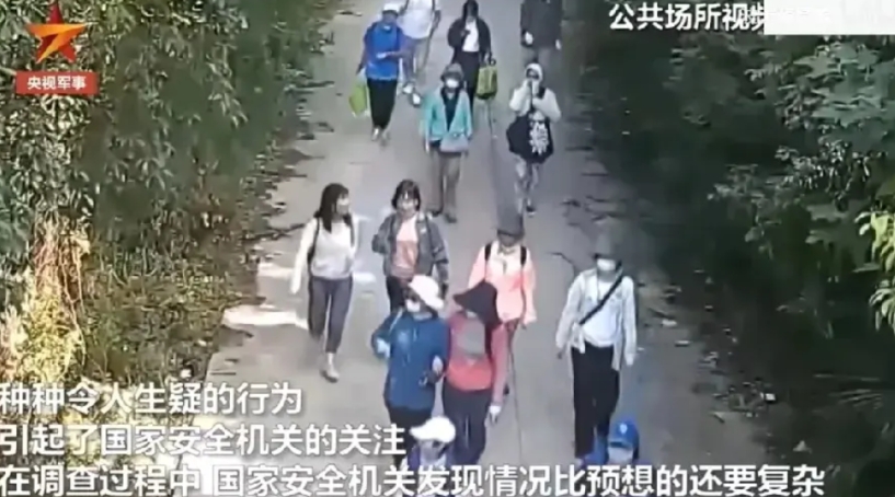 蒋小姐爸爸组织的“绿发”是NGO，他领导下做过什么？
旗下环保组织批评过海南省环
