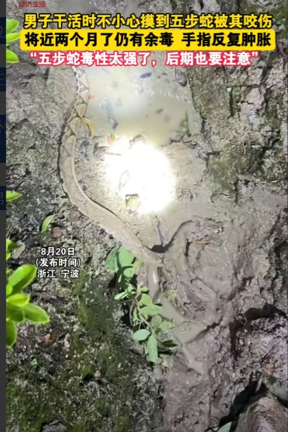 “太可怕了！”浙江宁波，一男子下地干活时被五步蛇咬伤，手指迅速肿了起来，他立即赶