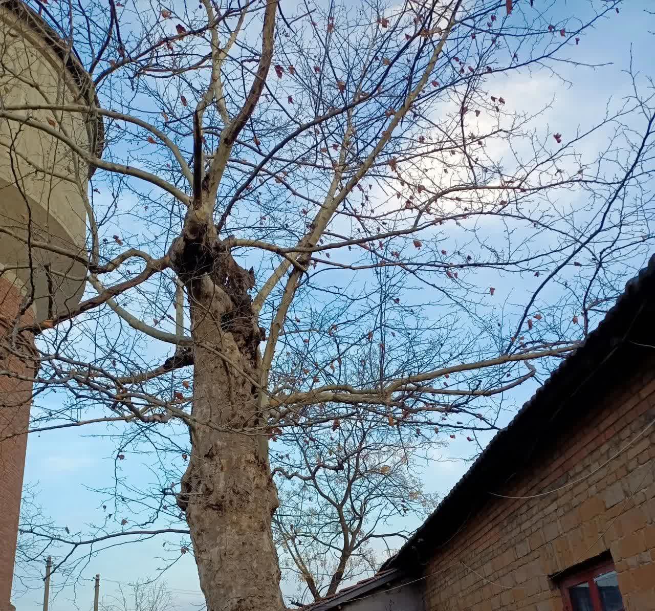 现在诈骗无孔不入，尤其是网购快递上的扫码，最近有个快递公司被立案调查了。太好了。
