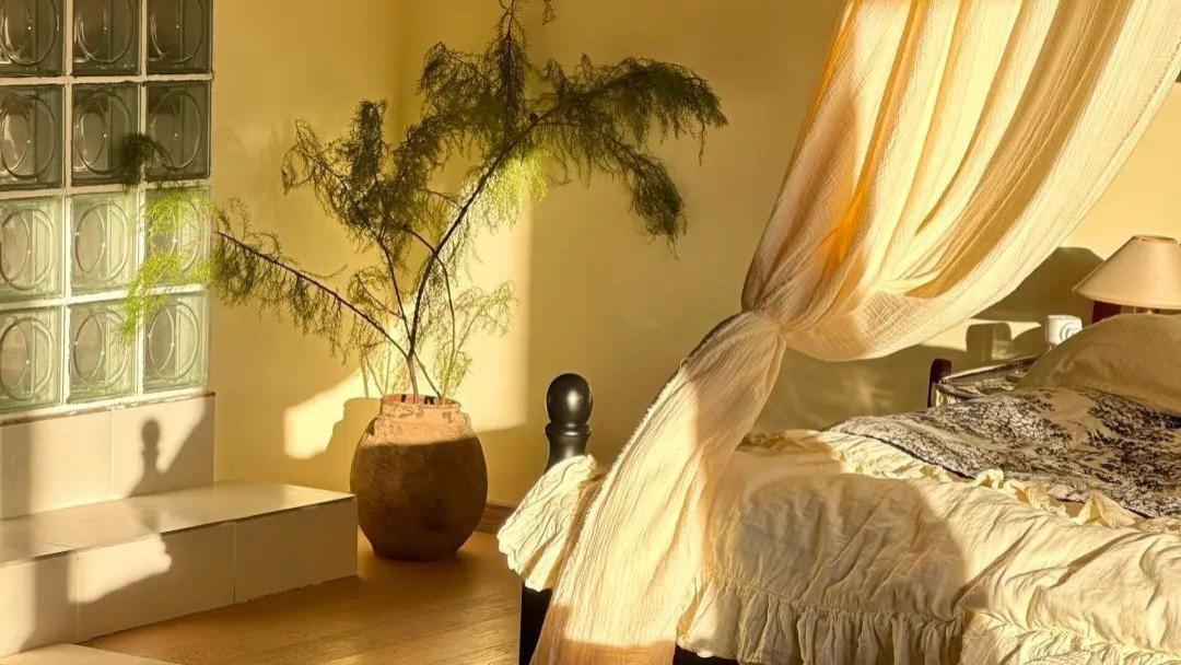 都市人疲惫不堪，小院梦能否治愈？诗意生活从这里开始