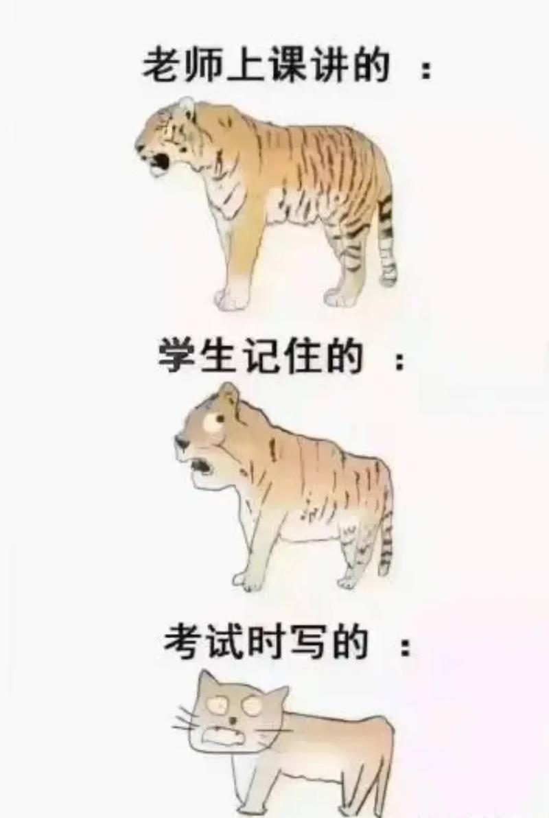 每日梗图，要不要这么太形象了