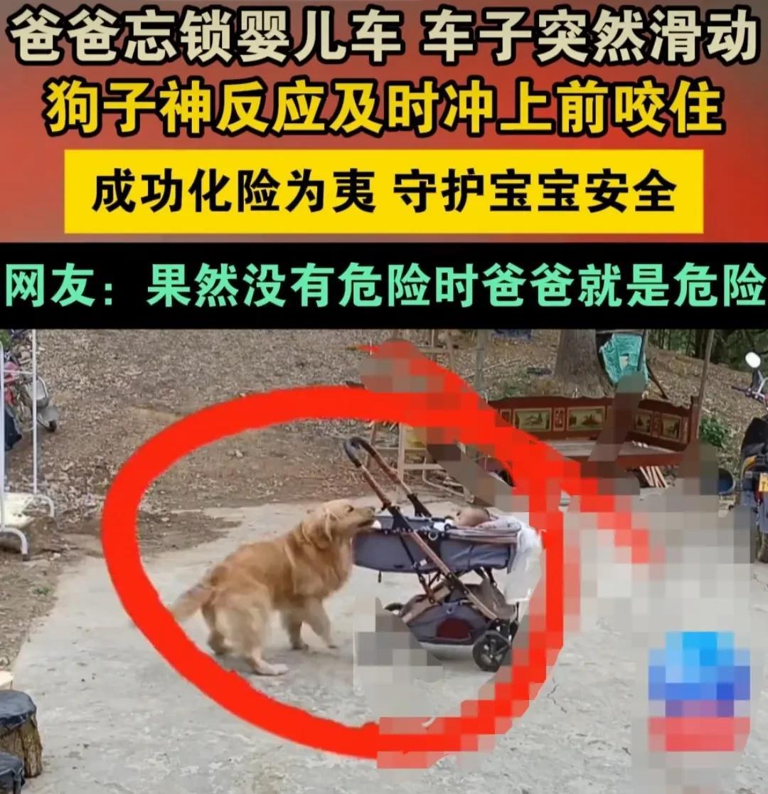 广东，爸爸给孩子喂完奶，把孩子放在婴儿车里，忘记了锁车。路面不平，有个小斜坡，婴