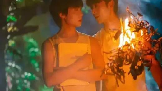 《荔枝树下热烈岛》国产剧在线观看 - 电视剧全集 -星美影视全集高清免费在线观看_《荔枝树下热烈岛》