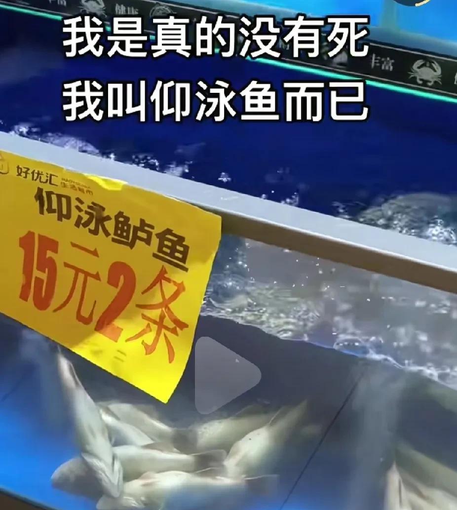 现在这商家真的是让人大开眼界啊，你看这个鲈鱼，明明是翻了白肚子，你却说他们在仰泳