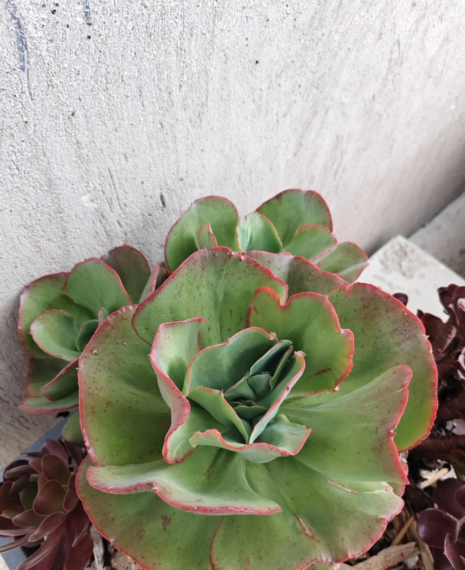 有次婆婆去照顾手术后的我，买饭去了好半天没回来，打电话说找不到楼层。  这突如其