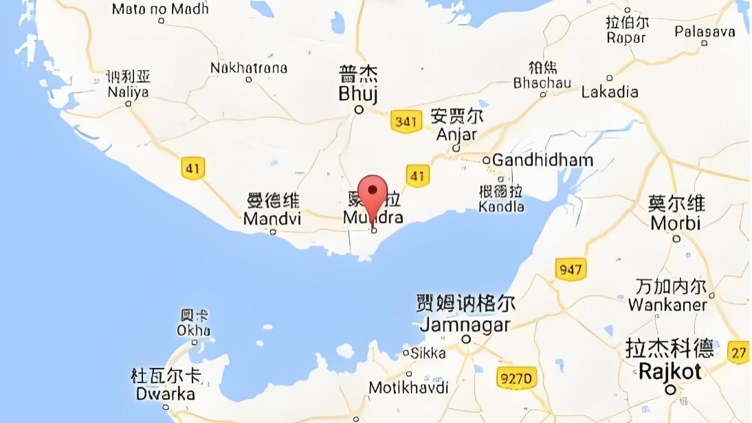 全球最忙港口之一，竟靠骆驼打通物流末梢？