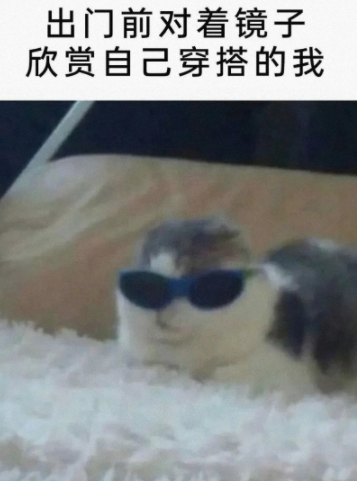 是不是都是这样的