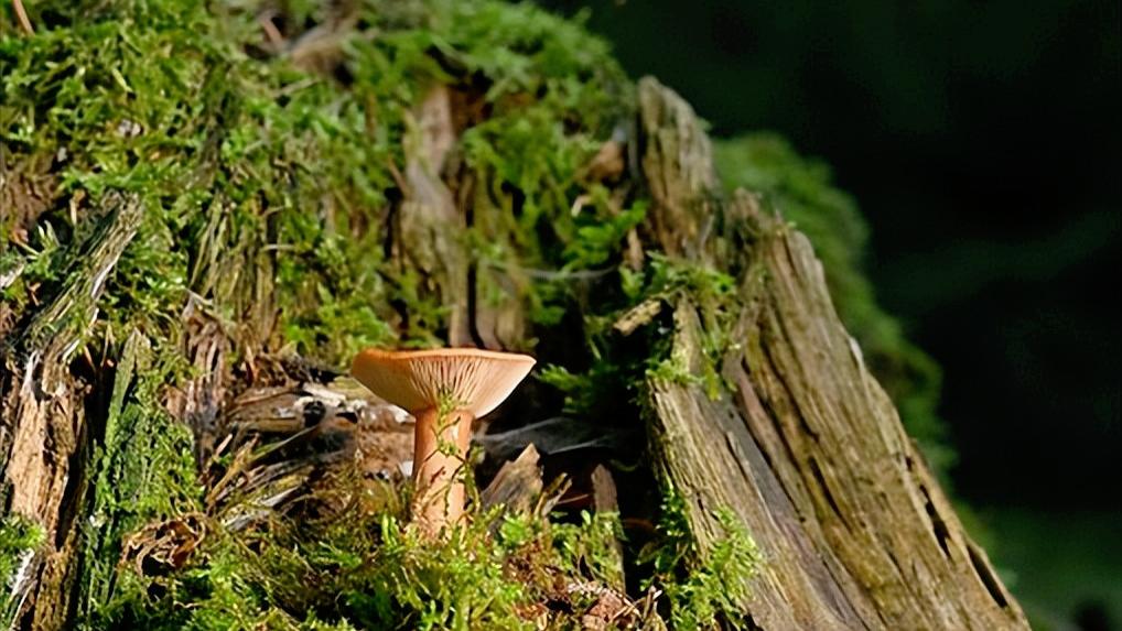 不管是谁，手上这两样东西，都会很快乐