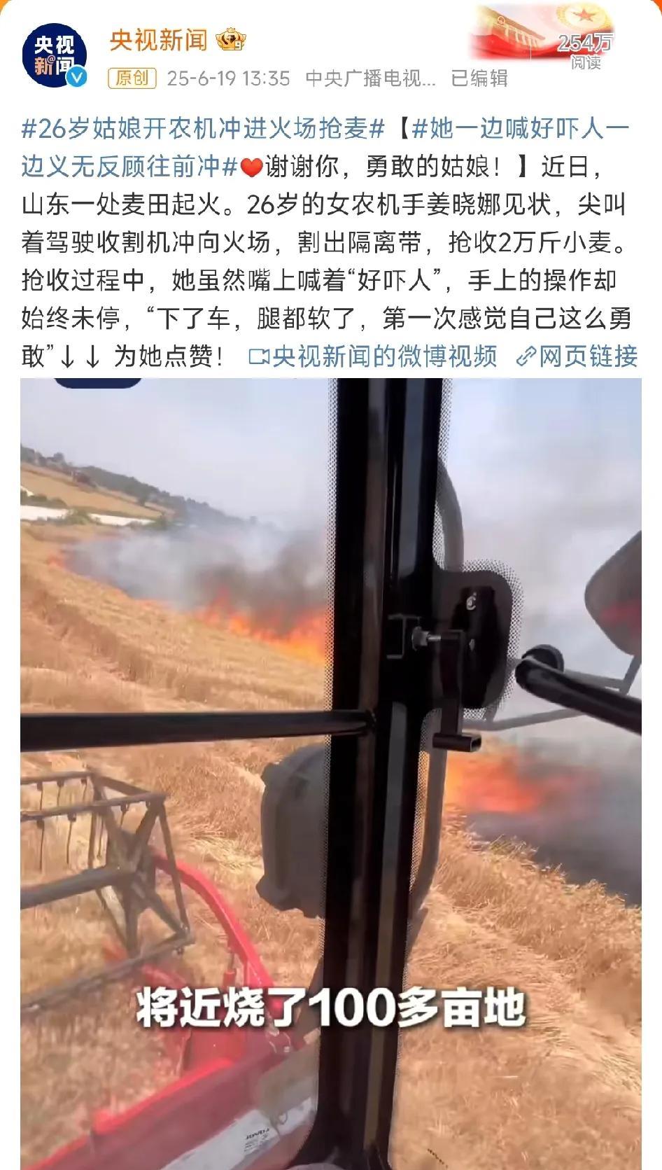 这个26岁的山东姑娘火了，连央视也为她点赞！
山东这段时间正处于紧张繁忙的小麦收