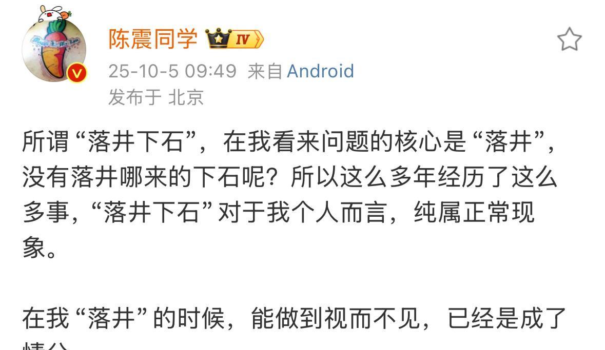 陈震：落井下石”对于我个人而言，纯属正常现象。在我“落井”的时候，能做到视而不见