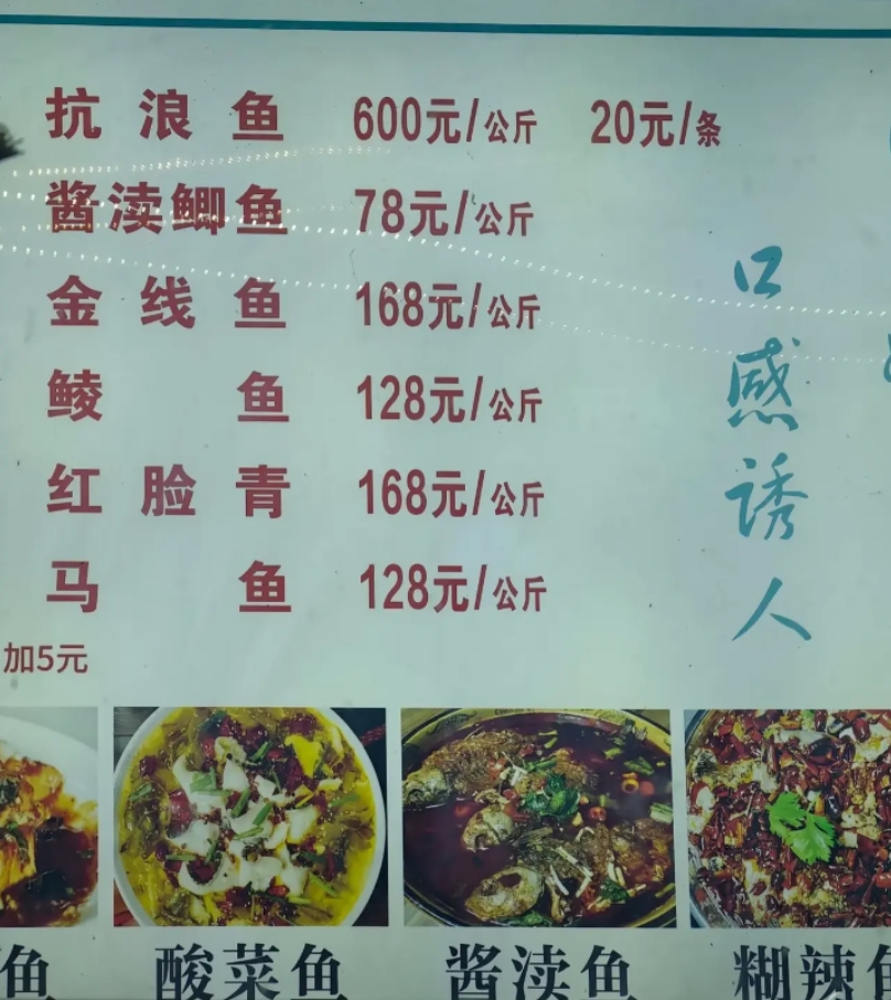 这个饭店的鱼一般人真吃不起…
你们觉得贵不贵？
