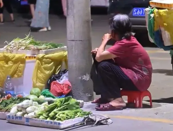 我哥嫂都是政府领导退休，有一次，我嫂子在路边和一个卖菜的阿姨讨价还价，结果上车后
