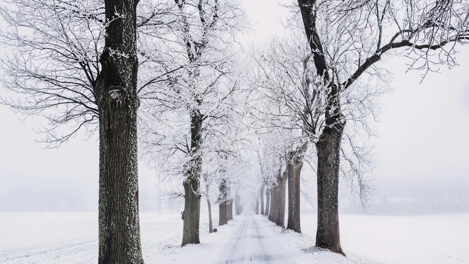 《业力管理》：所谓的运气，不过是他人看不见时，你早已种下的善因成熟了
