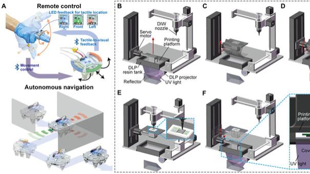 30 分钟打印！多材料3D打印软机器人内置驱动 + 自主避障
