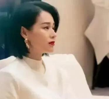 孙俪在《蛮好的人生》里的扮演一个行业精英！中年女性胡曼黎，可是被她演绎得夸张、搞