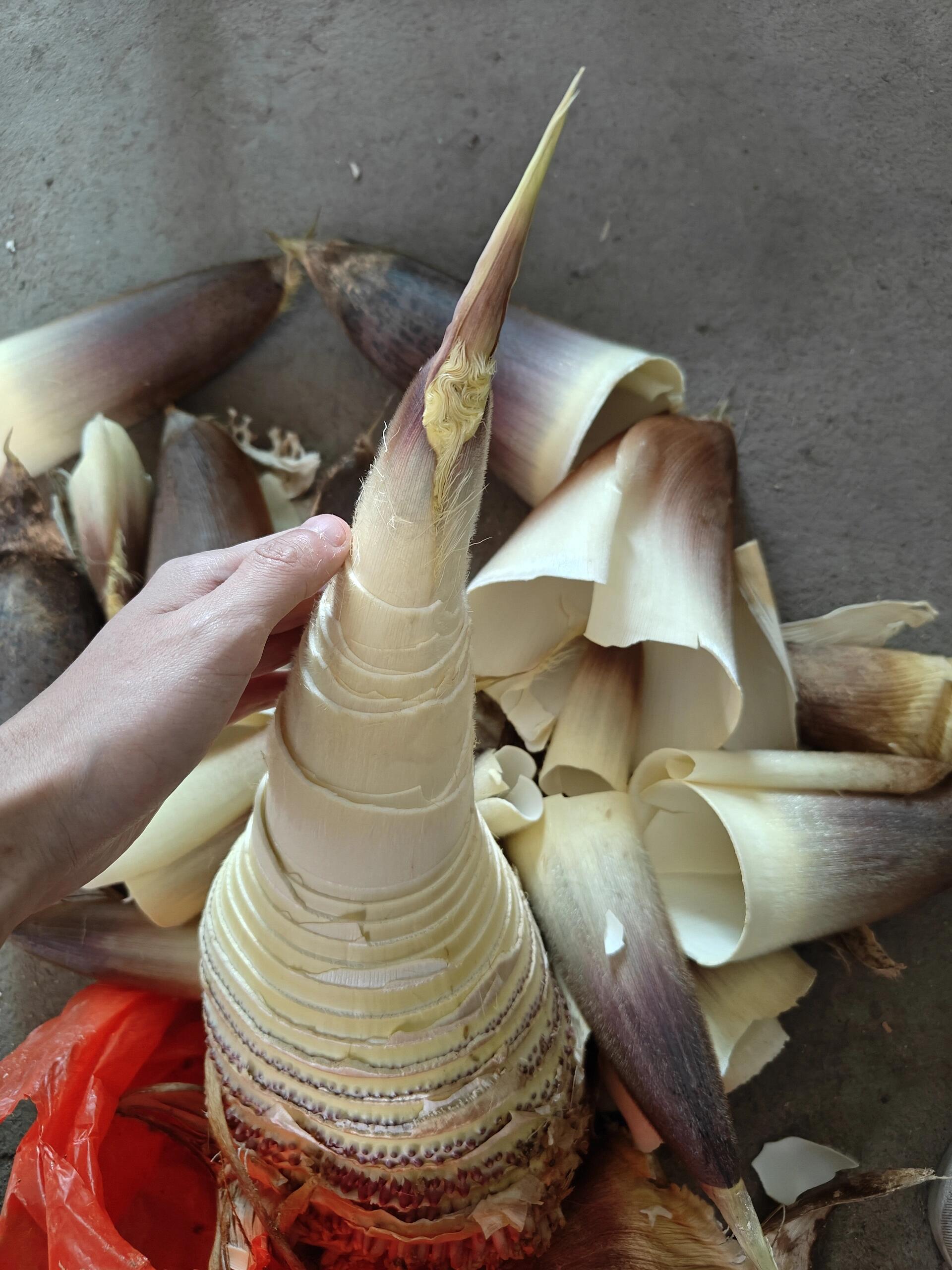 喜欢吃豆豆是正常现象吗？