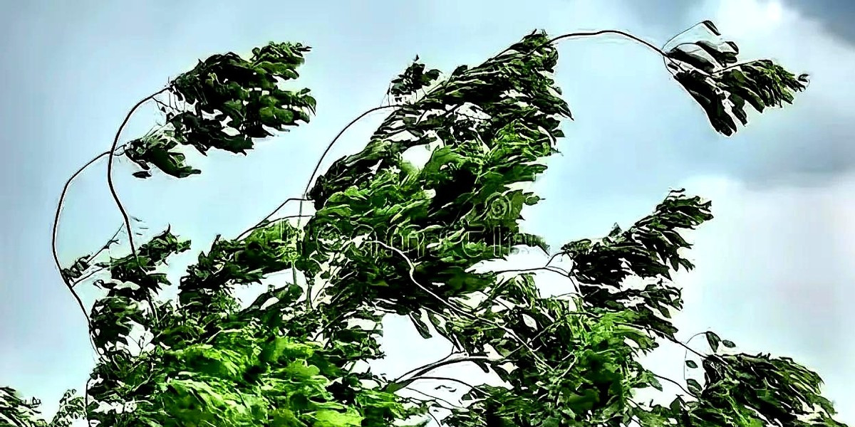 彩礼纠纷中外法律差异











真是离了个大谱！女的告男的强奸，反倒