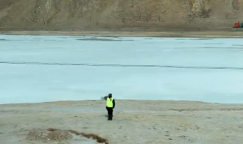 突然就读懂了白杨礼赞