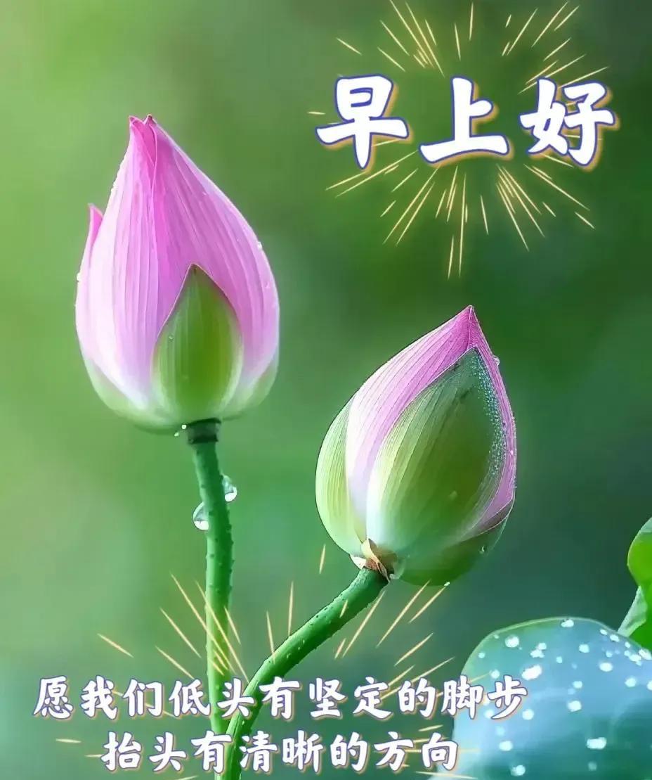 晨曦心语星愿：
清晨阳光耀大地，开开心心好运气；真诚问候暖心房，快快乐乐保健康！