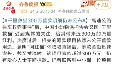当善意被透支：起底中国小动物保护协会的资金罗生门