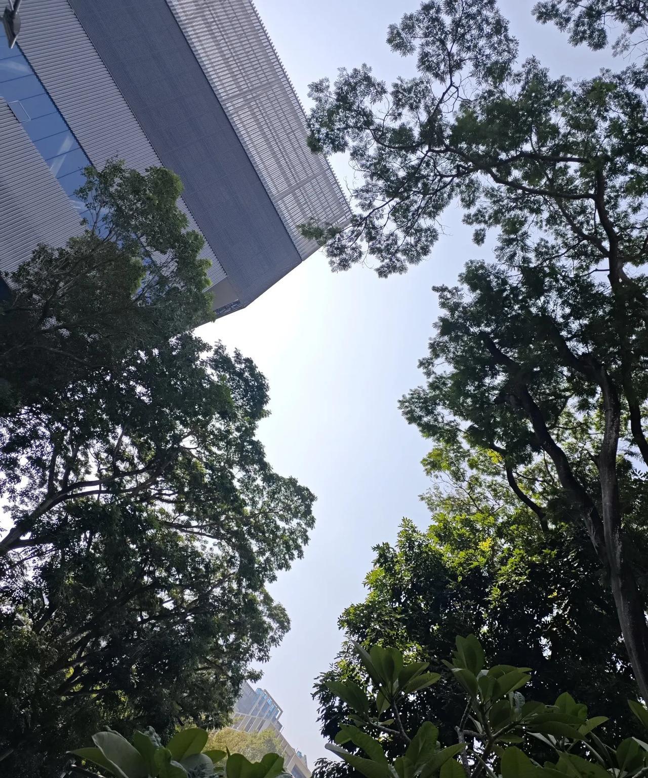 欢迎从美国回国任教的老教授们吗？
当然，最近不少再美国教书的中国人纷纷离开美国返