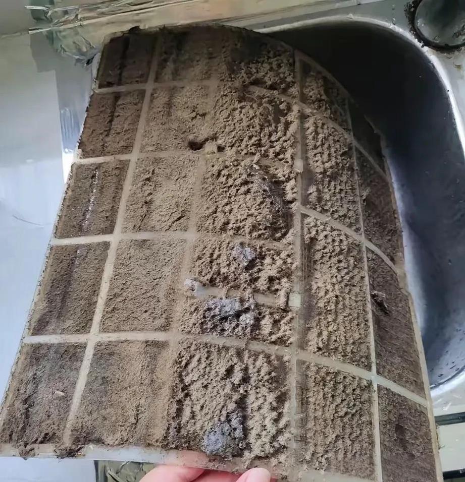 你们家的空调会每年都清洗吗
我家那位因为怕麻烦以前都不洗
后来我忍不住骂他好几次