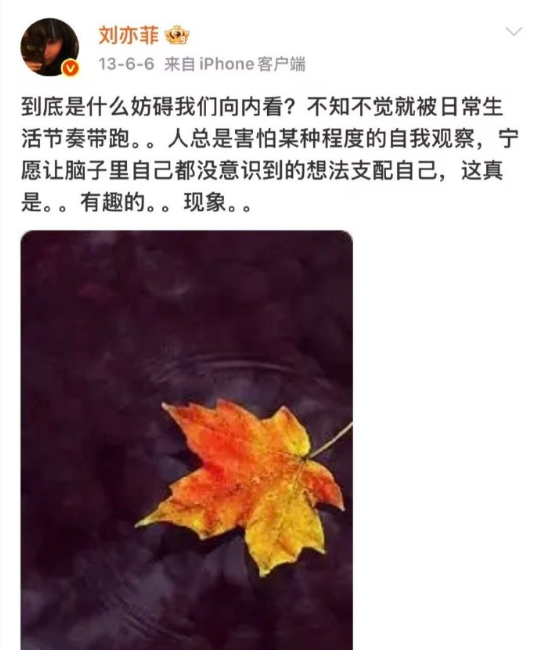 原来女神的松弛感早有迹可循！20多岁便懂得觉察内心、向内寻求，不慌不忙的人生态度