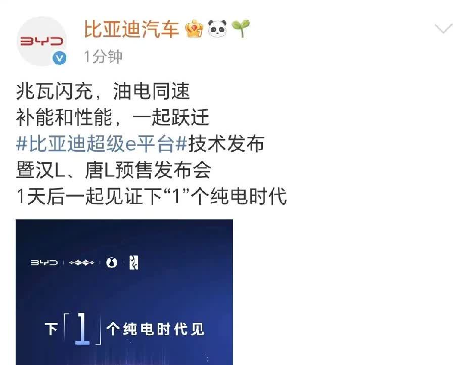 3.17号天闪就发布了
汉唐L也会同步预售。
超级E平台，补能和性能一起跃升
